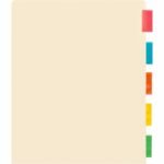 Business Source Color Tab Pocket Binder Dividers Blank Tab(s) - 5 Tab(s)/Set - 9" Divider Width x 11" Divider Length - Letter - 8.50" Width x 11" Length - Buff Buff Paper Divider - Assorted Tab(s) - 5 / Set (BSN02073)