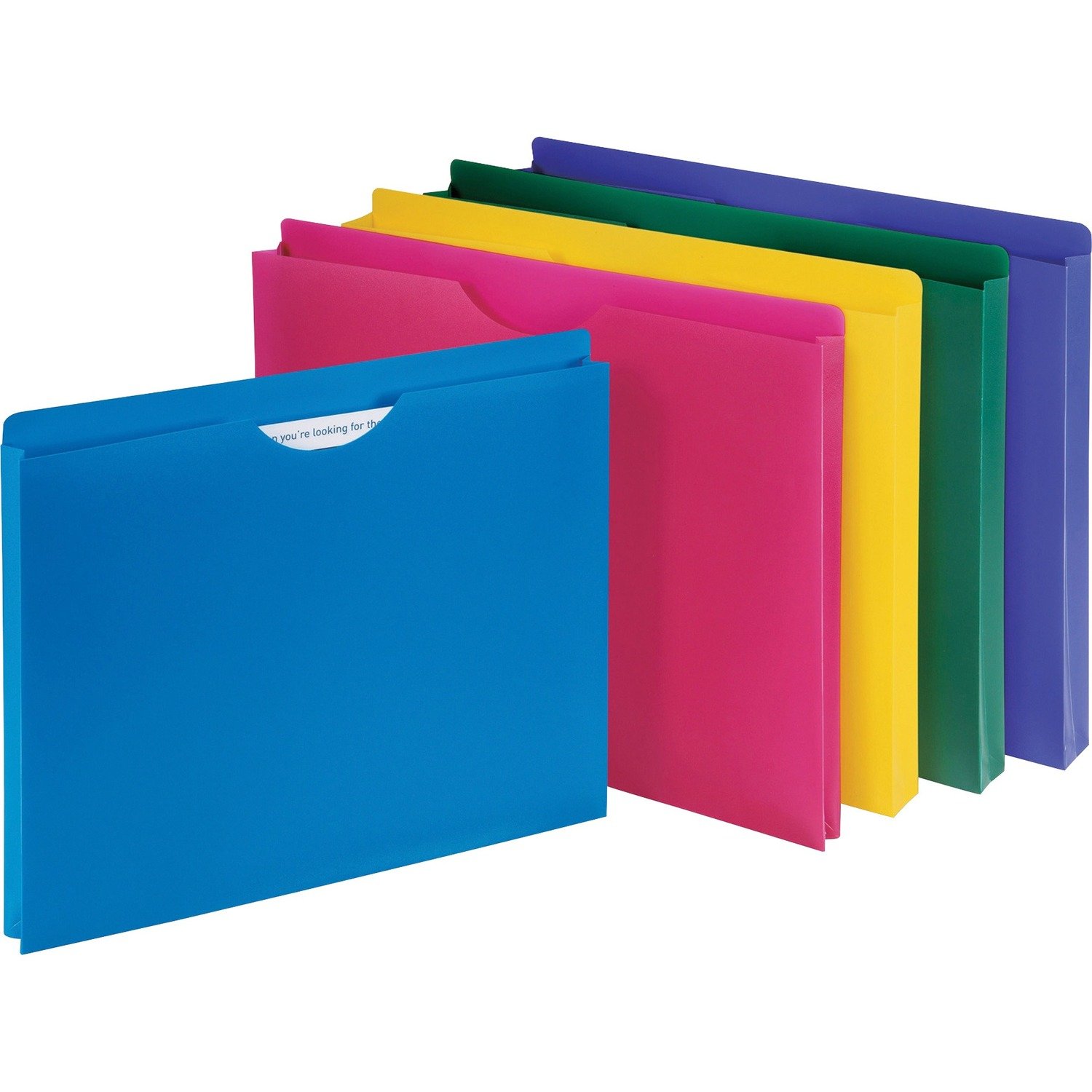 1048829985.jpg Business Source Straight Tab Cut Letter File Jacket 8 1/2" x 11" - 1" Expansion - Assorted - 10 / Pack (BSN44435) - Image 1